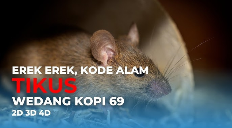 Kode-Alam-Tikus-2D-3D-4D