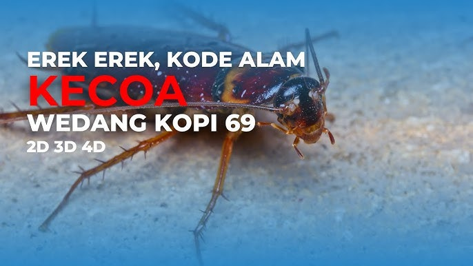 Kode-Alam-Keco- Lengkap-2D-3D-4D
